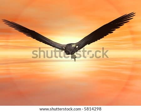 American Bald Eagle Flying In Sunset Sky. High Resolution Detailed 3d Render, Copy Space ...