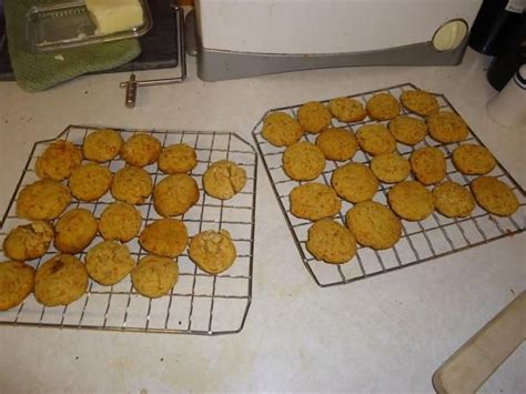 Iris's Low Protein Dog Cookies Recipe - Food.com | Recipe | Dog biscuit recipes, Dog cookie ...