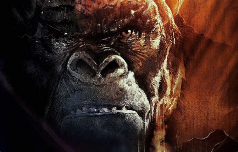 Wallpaper Monster, Eyes, Mouth, Canvas, Kong: Skull Island, KING KONG. images for desktop ...