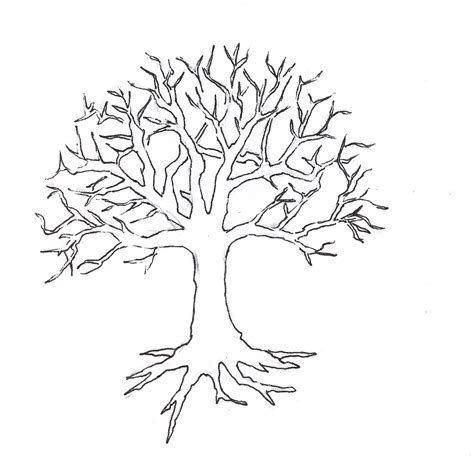 Free Tree Drawing Outline, Download Free Tree Drawing Outline png images, Free ClipArts on ...