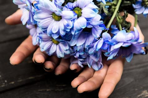 Hands Holding Bunch of Flowers Stock Image - Image of spring, smell: 109113395