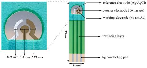 Single-use nonenzymatic glucose biosensor based on CuO nanoparticles ...