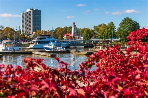 10 of the Best Things to Do in Mississauga - Must Do Canada