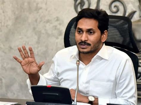 It's Not YSRCP Colors: Govt Tells High Court