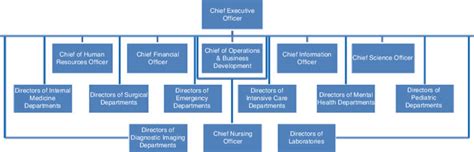 1 Typical organizational chart for a hospital | Download Scientific Diagram