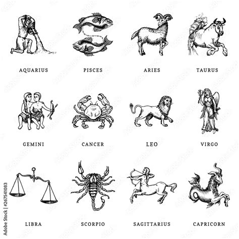 Vecteur Stock Zodiac symbols set, hand drawn in engraving style. Vector graphic retro ...