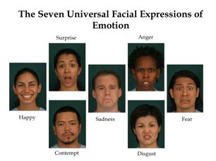 Reading Micro Expressions Guide