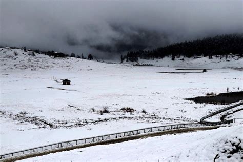 Snowfall: Sonamarg-Gumri Road closed for vehicular movement | Kashmir Life