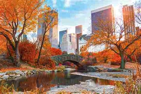 New York Central Park-Autumn - Athena Posters