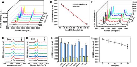 Figure 8 from SERS-Based Microneedle Biosensor for In Situ and ...