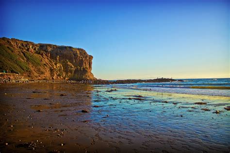 Abalone Cove Tide Pools | Stickup Artist, Living in the Wild Wild West