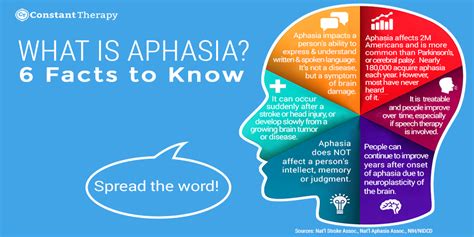 Aphasia symptoms - Madie Connolly