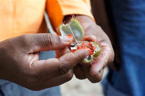 Zanzibar Food and Spices Tour with Traditional Swahili Lunch 2023