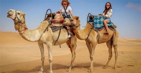 Camel Dream Meaning - Does It Mean Having Patience and Positive Attitude?