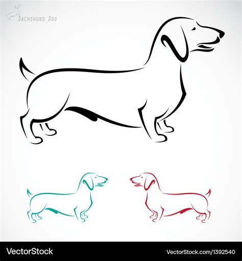 Dachshund dog Royalty Free Vector Image - VectorStock