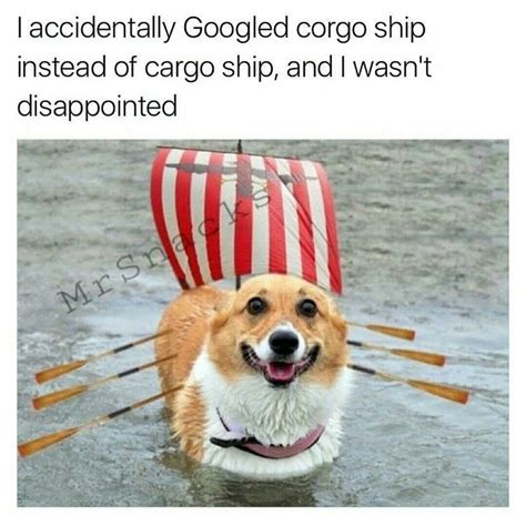 Memebase - corgi - All Your Memes Are Belong To Us - Funny Memes - Cheezburger