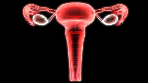 Hysterosalpingography: When A Hysterosalpingogram (HSG) is Needed For Infertility - ReUnite Rx