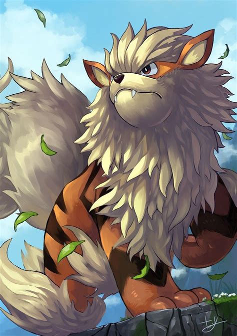 Arcanine | Pokemon art, Pokemon, Pikachu art