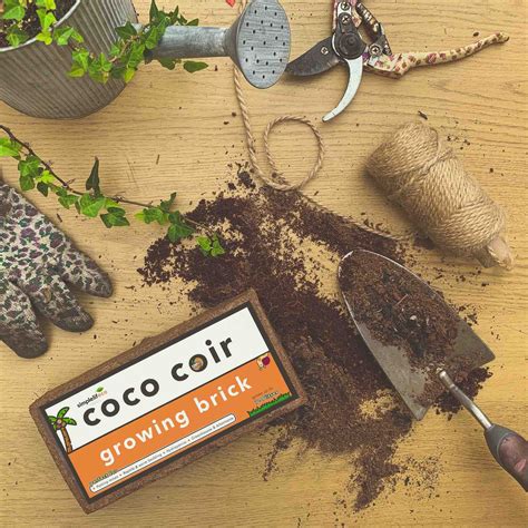 Simplelifeco UK Coco Coir Compost Growing Bricks | Compost ...