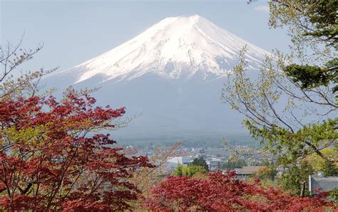 Stressed about visibility of Mt. Fuji fortunately had incredible ...