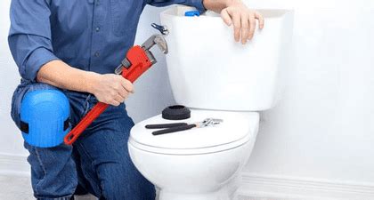 Common Causes of Dreaded Toilet Backup and How to Fix Them