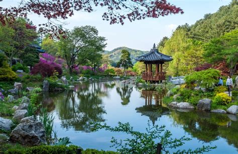 Beautiful Spring Gardens You Can Visit in South Korea