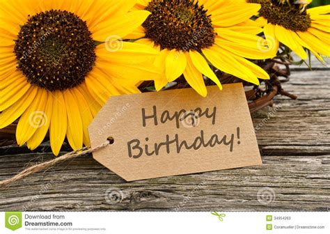 Happy Birthday Sunflowers Pic | brickinformation