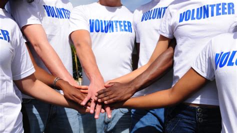 What makes a successful volunteer program | HRD Canada