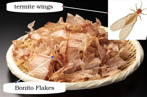 What is Bonito or Katsuobushi Flakes? | | Salam Groovy Japan