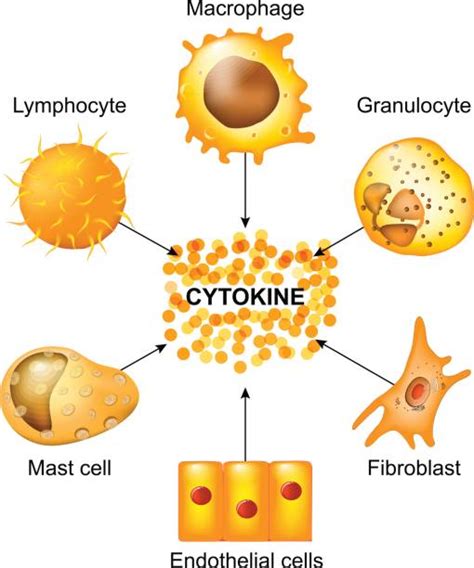 Inflammation Illustrations, Royalty-Free Vector Graphics & Clip Art ...