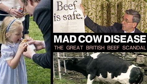 Mad Cow Disease: What Is Mad Cow Disease?