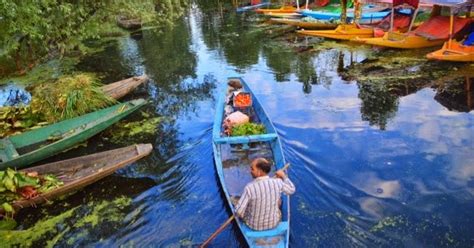 Floating Vegetable and Flowers Market on Dal Lake, Srinagar