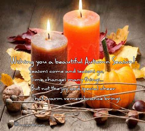 Autumn GIF - Find & Share on GIPHY