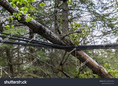 317 Power Line During Storm Images, Stock Photos & Vectors | Shutterstock