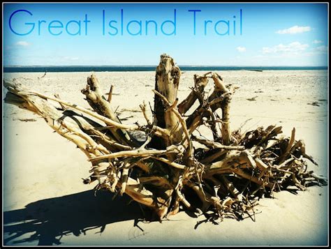 Great Island Trail