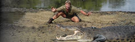 Crocodile Tracking - Learn About The Studies On The Steve Irwin Reserve