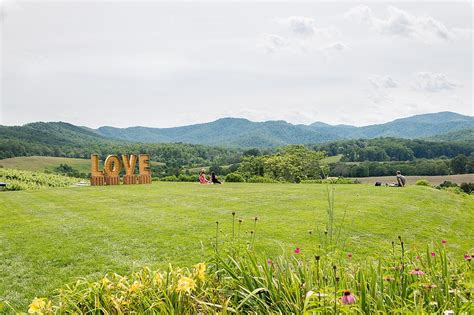 Best Wineries to Visit in Virginia's Charlottesvile Area