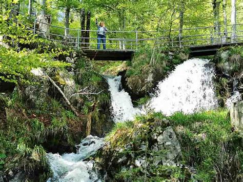 Feldberg Kurztrip und wandern auf dem Feldbergsteig