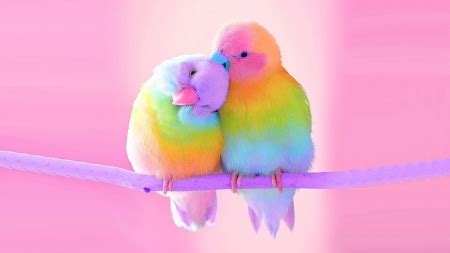 Wallpaper Pictures Of Lovebirds - Inselmane