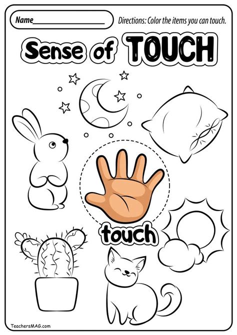 Free Five Senses Worksheets | TeachersMag.com | Five senses worksheet, Senses preschool, Five ...