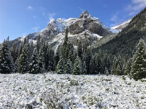 An overnighter in Mt Assiniboine Park turned into a winter camp. August, 2019. : r/backpacking