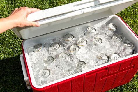 The Best Coolers to Buy in 2021 | Kitchn