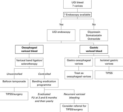 UK guidelines on the management of variceal haemorrhage in cirrhotic ...