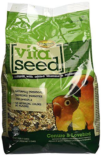 Best Foods For Lovebirds 2024 - Vet Ranch - We Love Pets