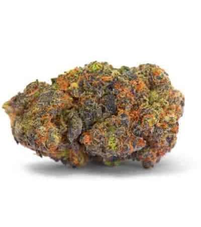 Unveiling Gelato Marijuana Strain | GREEN PLANET | ASOCIACIÓN CANNÁBICA Y CLUB SOCIAL FUMADORES ...