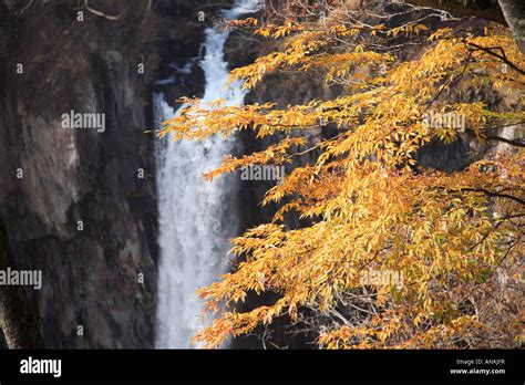 Kegon Falls, Nikko National Park, Japan Stock Photo - Alamy