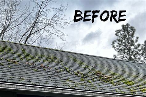 5 Star Roof Moss Removal And Treatment in Medford OR - Rogue Pro Softwash