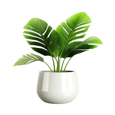 Decorative Aesthetic Flower Leaf In Pot, Pot, Plant, Decoration PNG Transparent Image and ...