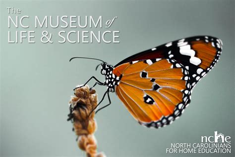 Museum of Life & Science Field Trip - North Carolinians for Home Education