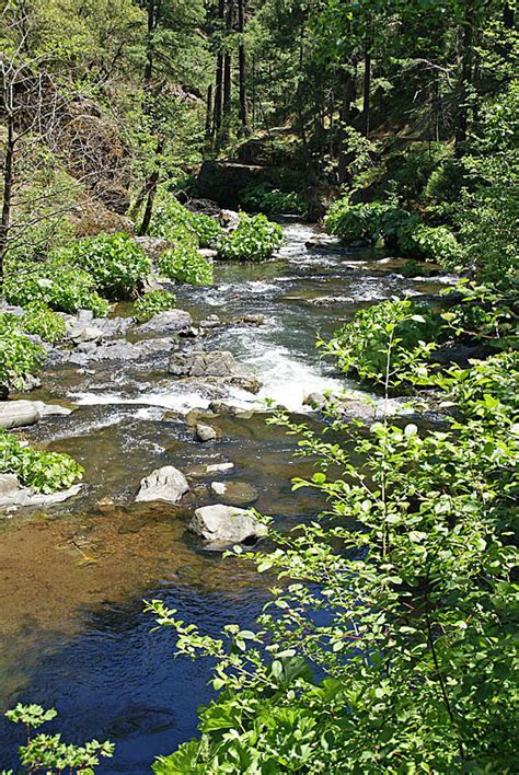 Squaw Valley Creek Trail south of McCloud - Northern California Hiking ...